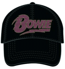 FLASH LOGO
