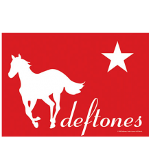 WHITE PONY