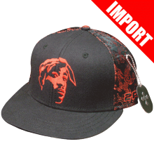 2PAC - THUG STYLE